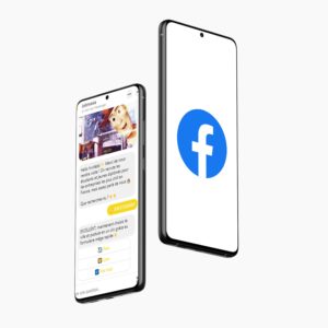 Alexandre Renié Web Réseaux Sociaux